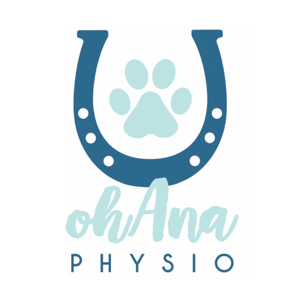 physio-for-your-animal-ohana-physio